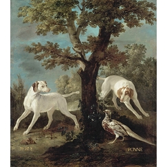 Perle and Ponne, dogs from the pack of Louis XV oudry