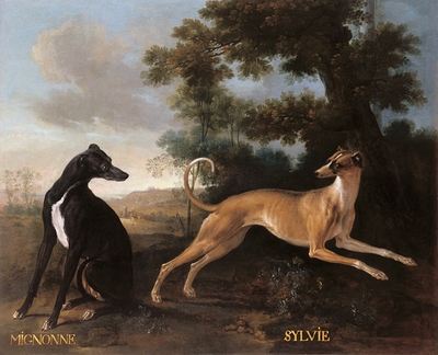 Mignonne and Sylvie, dogs from the pack of Louis XV oudry