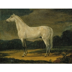 Napoleon's horse \"the Vizir\"