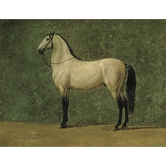 Napoleon 1st's horse \"The Familiar\"