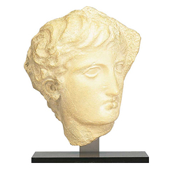 Head of an Ephebe