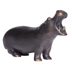 Hippopotamus F Pompon