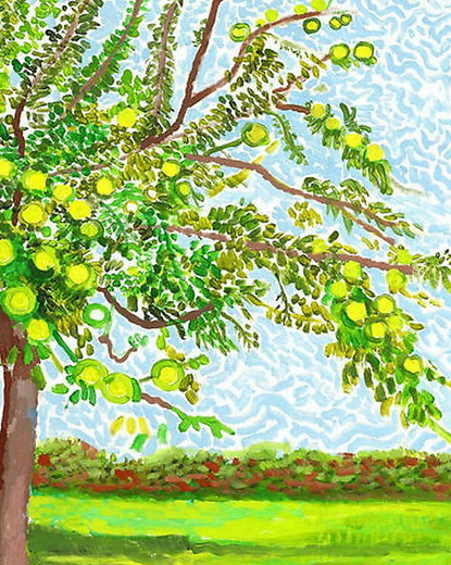 David Hockney. A Year in Normandie