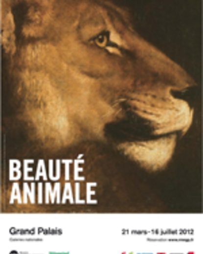 Beauté animale