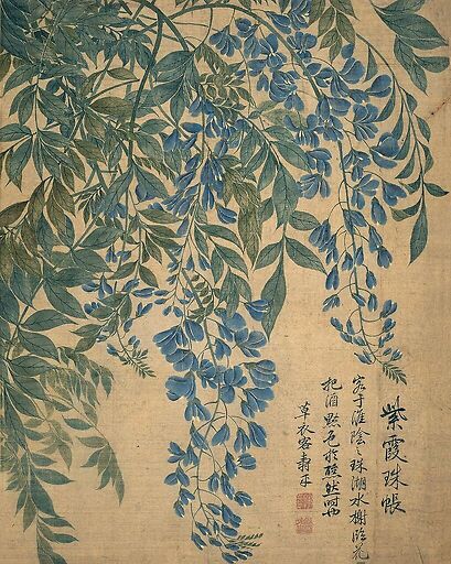 Album de douze feuilles : fleurs