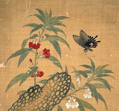 Fleurs et insectes