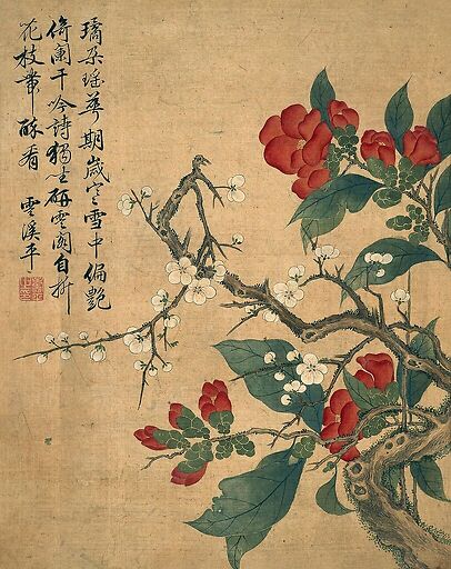 Album de douze feuilles : fleurs