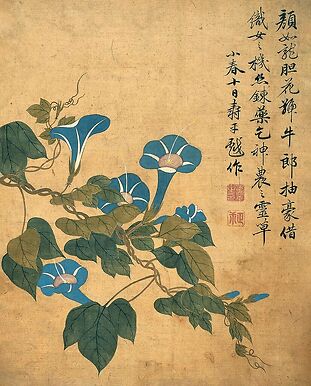 Album de douze feuilles : fleurs