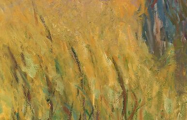 Les Nymphéas : Soleil couchant