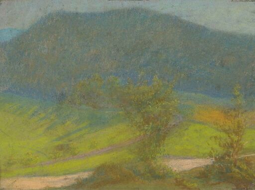 Paysage de montagne avec arbres au premier plan