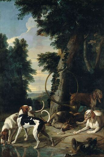 Four dogs around a deer wounded to death