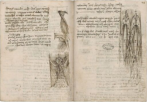 Turbulences provoquées par différents obstacles sur un fluide en mouvement