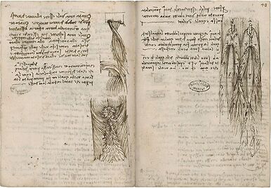 Turbulences provoquées par différents obstacles sur un fluide en mouvement