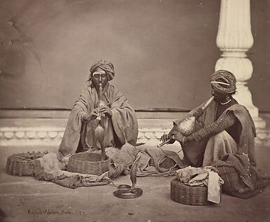 Charmeurs de serpents, 1862-1864