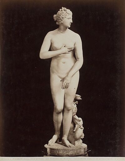 Firenze - Galleria Uffizi, la Venere de' Medici (Cléomène)