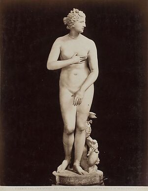 Firenze - Galleria Uffizi, la Venere de' Medici (Cléomène)