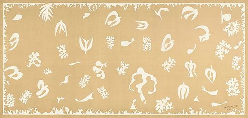 Océanie, le ciel, été