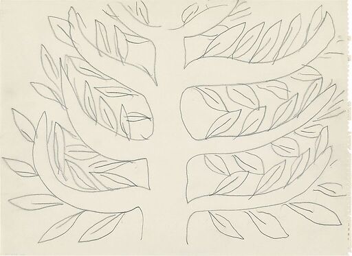 Arbre, platane
