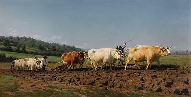 Labourage nivernais: le sombrage