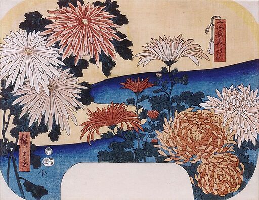 Chrysanthemums