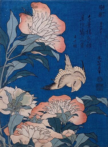 Peonies and Canary