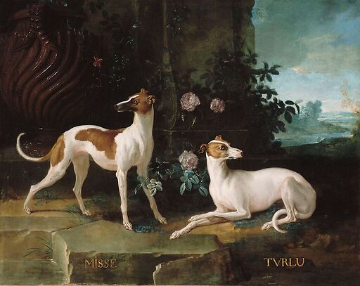 Misse and Turlu, two greyhounds of Louis XV