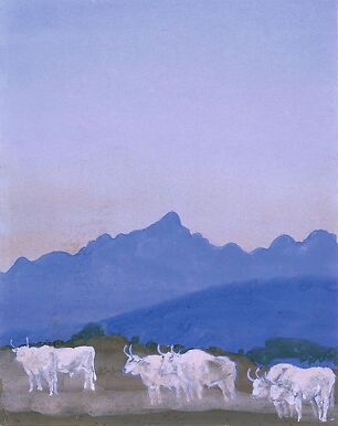 Trois couples de boeufs blancs sur fond de montagnes (les Apennins), le matin