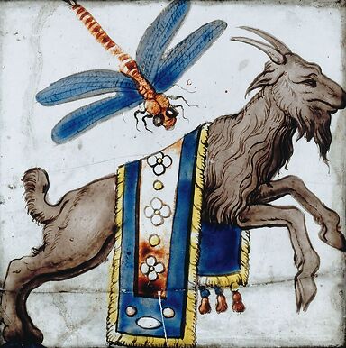 Bouc et libellule