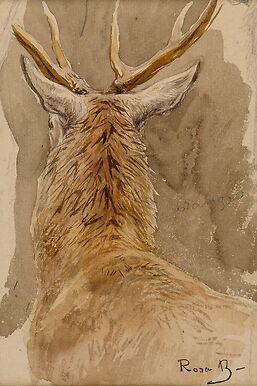 Etude de cerf