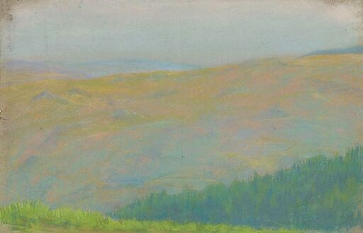 Mountain landscape with fir forest in the foreground