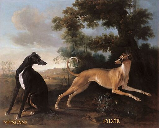 Mignonne and Sylvie, dogs from the pack of Louis XV oudry