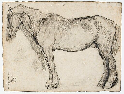 Etude de cheval