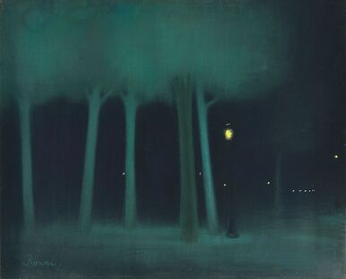 Un parc dans la nuit