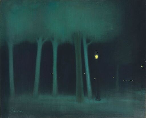 Un parc dans la nuit