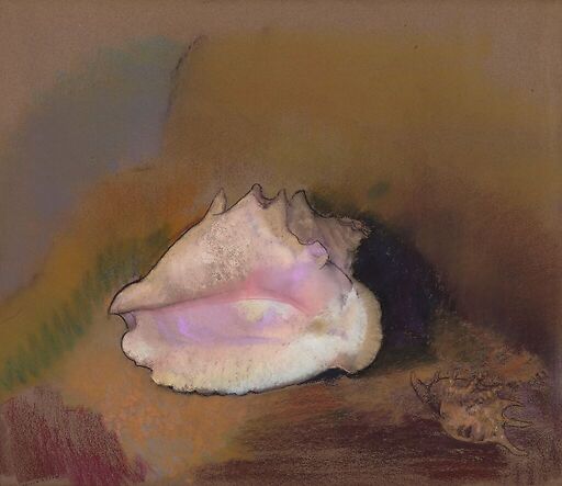 The Shell: Bottom Right, Small Shell, in the Shadow