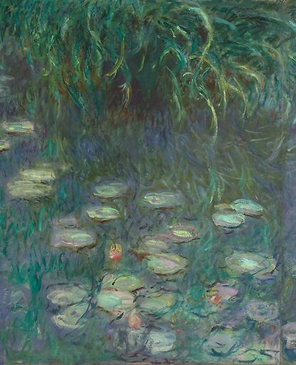 Les Nymphéas : Matin