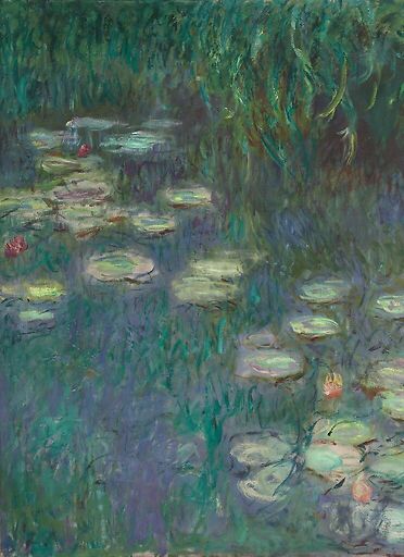 Les Nymphéas : Matin