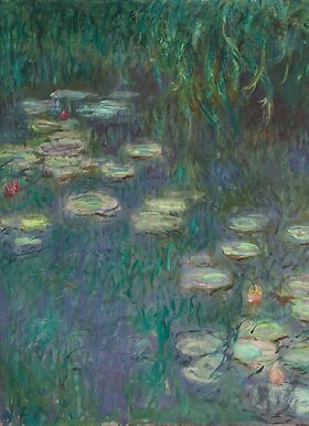 The Water Lilies: Morning