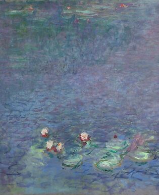 The Water Lilies: Morning