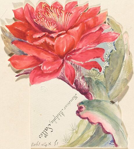 Menu d'Adolphe Salles