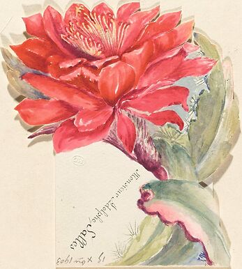 Menu d'Adolphe Salles