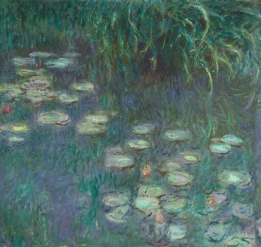 Les Nymphéas : Matin