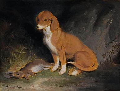 Dog guarding a dead rabbit