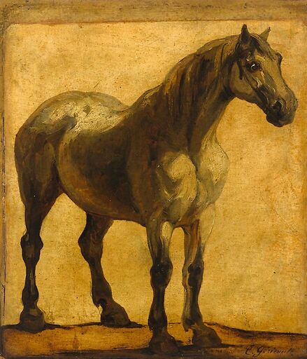 Etude de cheval