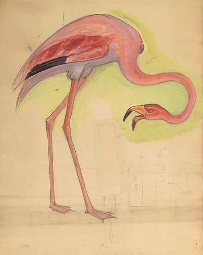 Escompte Counter, great Staircase, pink Flamingo