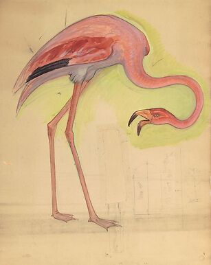 Escompte Counter, great Staircase, pink Flamingo