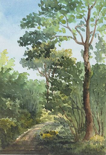 Bois de l'Etoile à Bois Guillaume (près de Rouen)