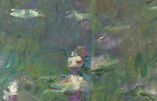 The Water Lilies: Morning