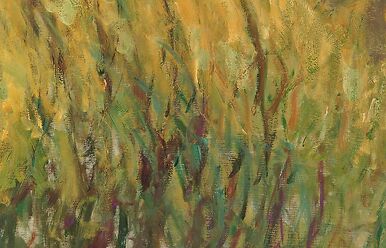 Les Nymphéas : Soleil couchant