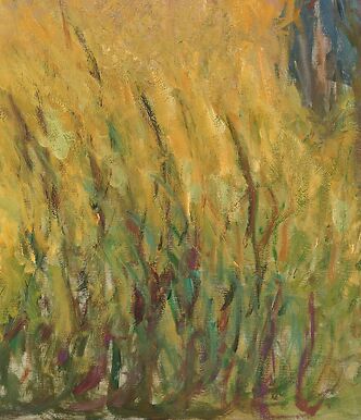 Les Nymphéas : Soleil couchant